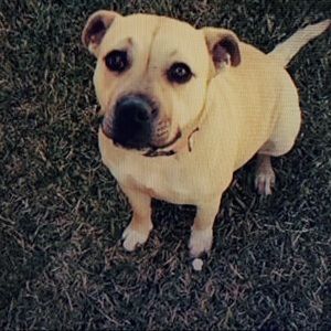 Meet your Posher, Jillian